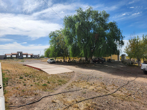 Bodega Y Finca En Venta