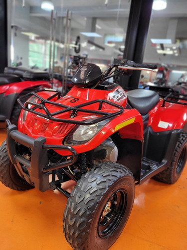 Imagen 3 de 7 de Artic Cat 300 Parrilla 2015 Automatico Tamburrino Moto