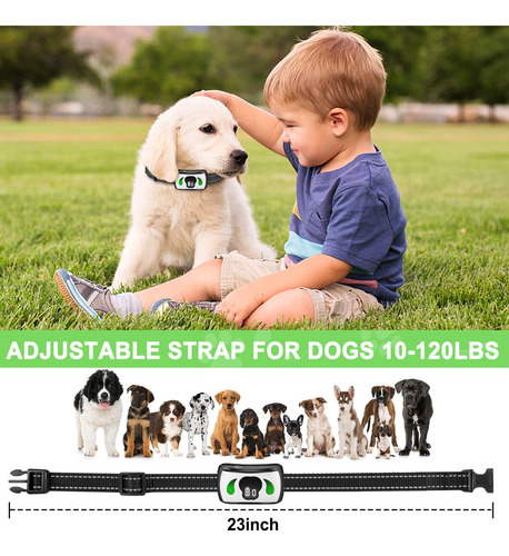 ` Collar Antiladridos Con Mando A Distancia, Seguro For