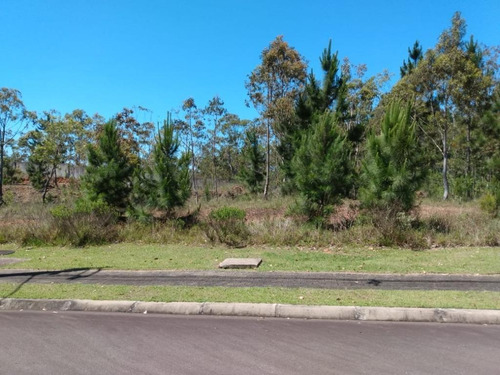 Imagem 1 de 13 de Terreno À Venda, 1000 M² Por R$ 165.000,00 - Santa Isabel - Viamão/rs - Te0058