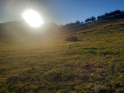 Parcela En Venta Coyhaique Sector Emperado Guillermo