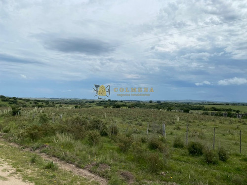 Campo En Garzon - Ideal Para Uso De Descanso - Consulte!!!!- Ref: 3606
