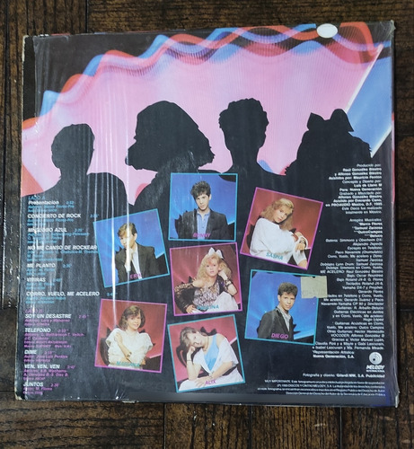 Disco De Vinilo (Usado)