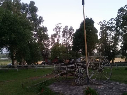 7 Hectareas Y Media En Batan Ideal Emprendimiento De Viviendas