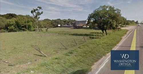 Imagem 2 de 5 de Área À Venda, 13622 M² Por R$ 3.405.740,00 - Thomaz Coelho - Araucária/pr - Ar0049