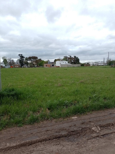 Imagen 8 de 9 de Lote En Venta- Importantes Medidas.