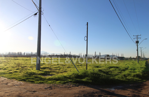 Sitio En Loteo Viña Las Kuras En Requínoa
