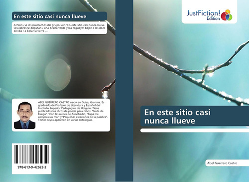 Libro: En Este Sitio Casi Nunca Llueve (spanish Edition)