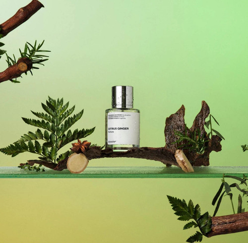Perfume Dossier Citrus Ginger Original 50ml