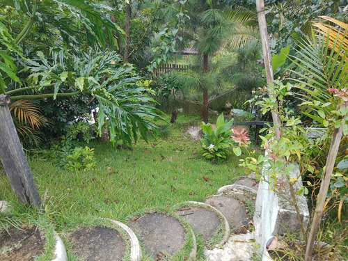 Imagem 12 de 14 de Chácara 4.000 M² / Plantações E Árvores Frutiferas / 4 Km Br