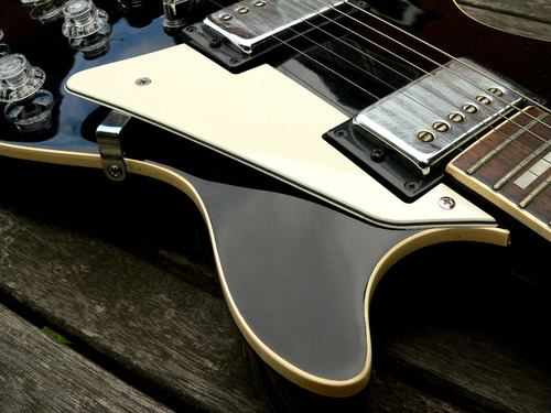 Kit Escudos Completo Les Paul Creme Vintage Backplate