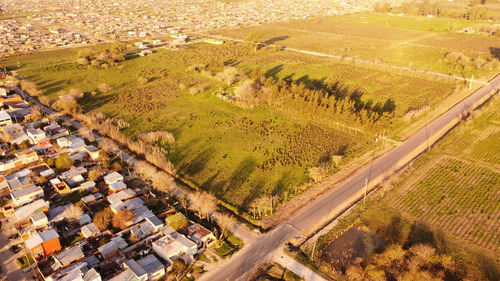 Campo En Venta - Los Hornos