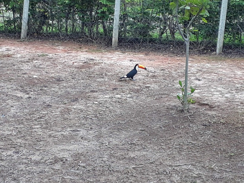Imagem 23 de 30 de Casa Em Condomínio À Venda Em Contagem - 1322