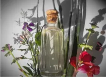 Comprar Esencias Para Velas Y Difusores De Varilla 100% Origen Usa
