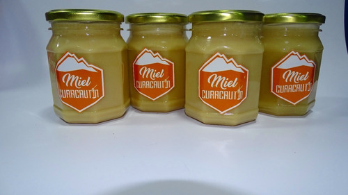 Pack 4 Unidades Miel Batida 500g 100% Natural Envase Pet