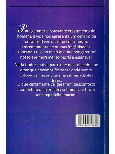 Floresça na Intimidade das Dores: Não Aplica, de : Izaias Claro. Série Não aplica, vol. Não Aplica. Editora Solidum, capa mole, edição não aplica em português, 2002