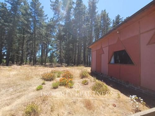 Algarrobo, Bosque De Algarrobo Parcela 100% Plana