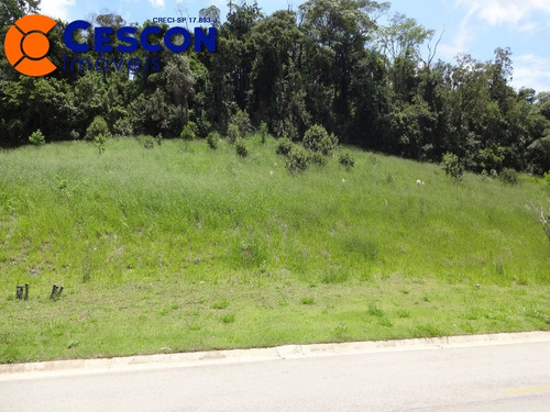 Imagem 3 de 3 de Terreno - Te00249 - 69824702
