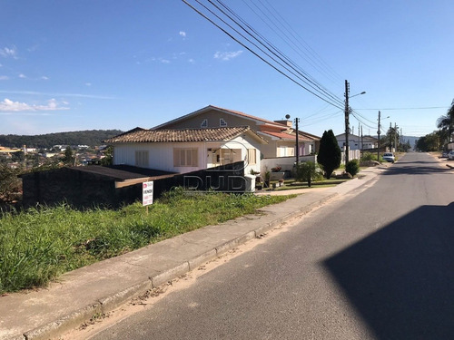 Imagem 7 de 7 de Terreno - Ana Maria - Ref: 7533 - V-7533