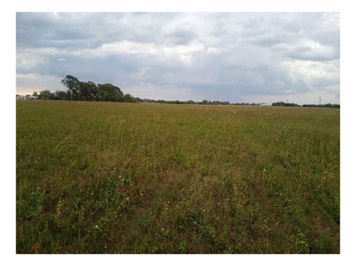 Imagen 9 de 12 de Campo En Venta - 14 Hectáreas - General Mansilla