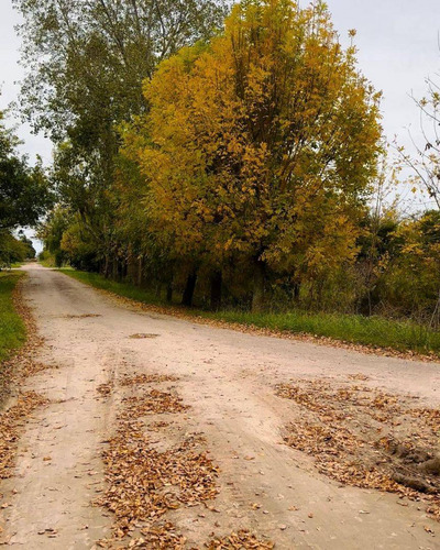Lote En Venta Con Escritura En Nacho Correas