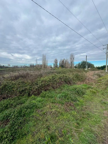 Parcela De 5000m2 En Portal Quillon  (175523)