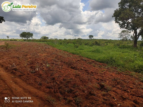 Imagem 9 de 15 de Fazenda Em Breu Branco - Pa - 2.584,56 Hectares (dupla Aptidão) - 2158