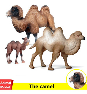 Escultura De Camelo | MercadoLivre 📦