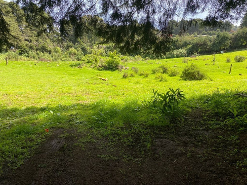 Imagen 4 de 5 de Lote En Paraje Mechinanco, Huitzilac, Morelos.