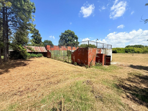 Alquiler De Terreno Logístico En Paso De La Arena
