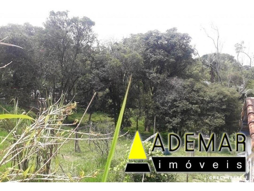 Exelente Propriedade Pra Venda - 980