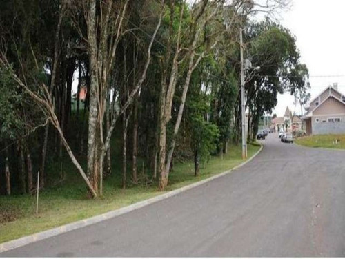 Imagem 11 de 30 de Excelente Terreno São Braz - Te-0448 - 3295582
