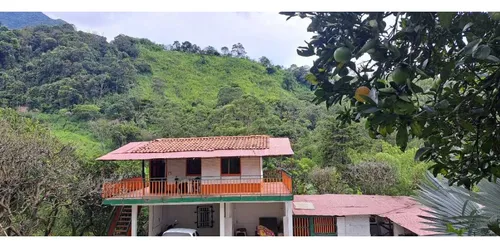Vendo Casa Finca En Via Venecia