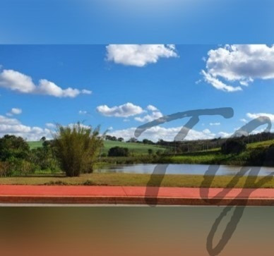 Imagem 7 de 8 de Terreno - Te00177 - 70338375
