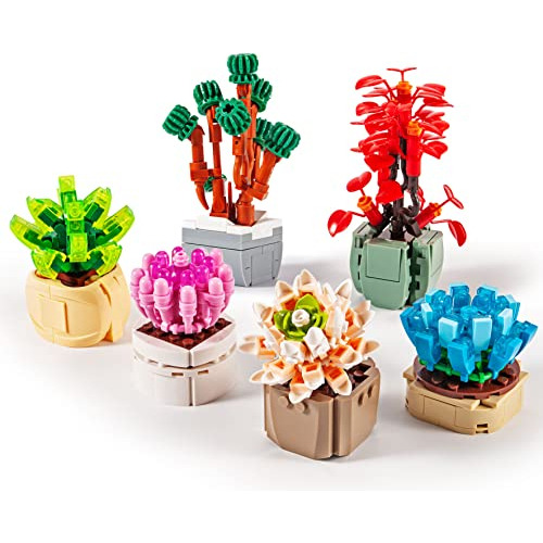 Semky Flower Series Succulents Plant Building Kit, Special P