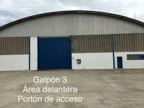 Imagen 2 de 10 de Sandra Viloria Alquila Amplio Galpón Totalmente Acondicionado En Complejo Privado En Zona Industrial De Maracay. Excelente Precio