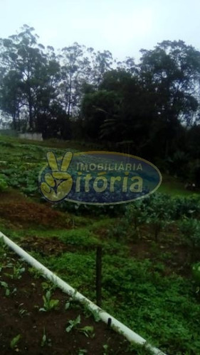 Imagem 20 de 21 de Chácara Para Venda No Bairro Dos Finco/ Vila Tupã, 3 Dorm, 6 Vagas, 100 M, 3982 M - 9851