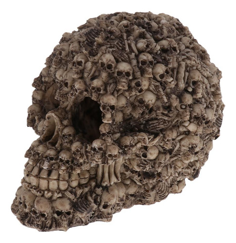 Adorno De Calavera De Acuario 1