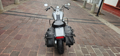 Harley Davidson Fxstc Softail Custom 1584 Cc Año 2007