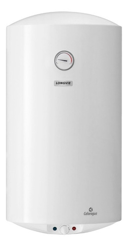 Termotanque Longvie Eléctrico 78 Lts Te80f Inferior Colgar