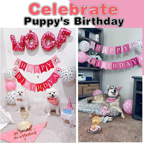 Suministros Para Fiesta De Cumpleaños Para Perros: Juego De
