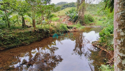Imagem 2 de 30 de Lindo Sítio À Venda No Bairro São Luiz Em Apiúna Sc!! - Ru00003 - 69368760
