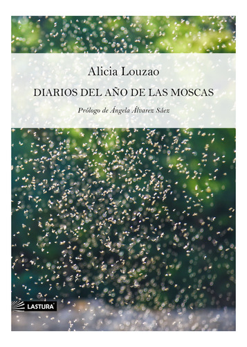 Libro Diarios Del Aã¿o De Las Moscas - Louzao, Alicia