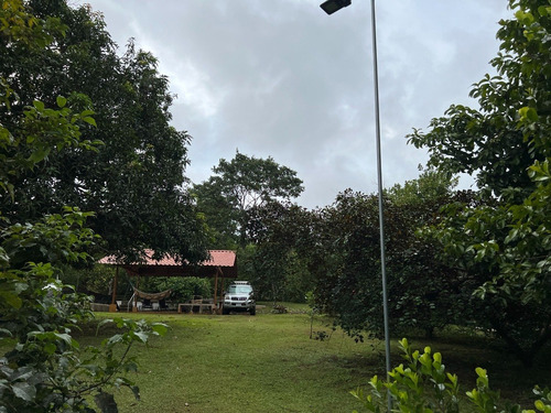 Imagen 13 de 30 de Preciosa Quinta-finca En Labrador De San Mateo De Alajuela, Todos Los Servicios