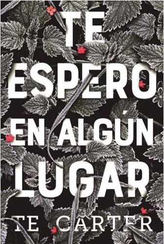 Te Espero En Algun Lugar - T. E. Carter