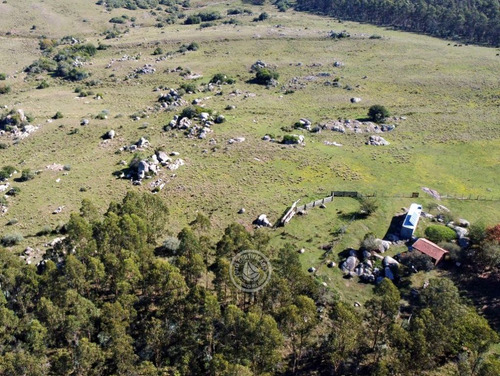 Casa De Campo La Serena, Cerro Pelado - Lavalleja