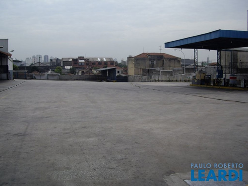 Imagem 4 de 8 de Comercial - Lapa De Baixo - Sp - 539697