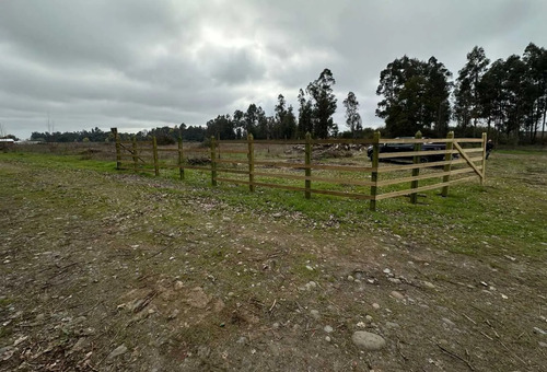 Inversión Ideal En Entorno Natural (134874)