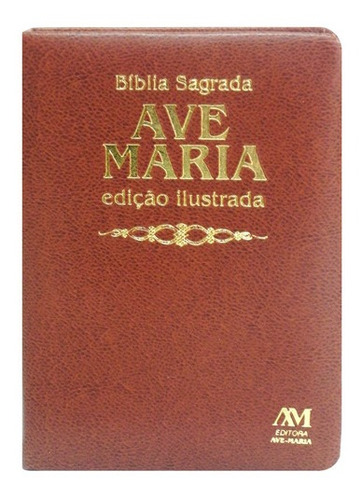 Livro Bíblia Edição Ilustrada Luxo - Média - Marrom