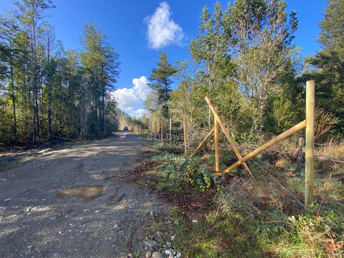 Hermosa Parcela Con Abundante Bosque Nativo